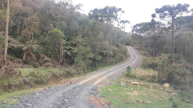 Sitio em Urubici /chacara em Urubici - Foto 4