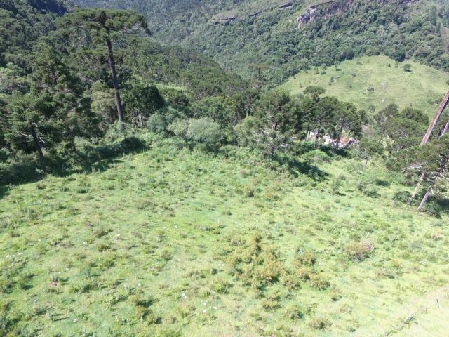 Sitio em Urubici /chácara em Urubici - Foto 12
