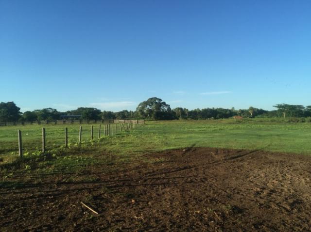 FAZENDA A VENDA EM CORUMBA - MS (Pecuária) - Foto 7