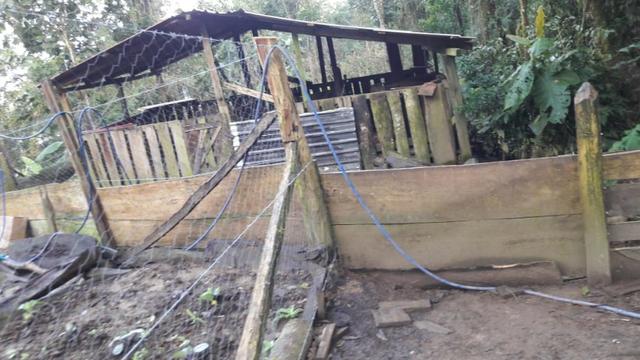Chácara área rural porteira fechada - Foto 6