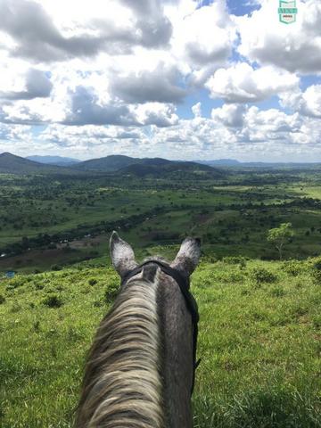 Itaju do Colônia. Fazenda de 400 Hectares. para pecuária. - Foto 7