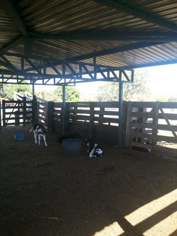 Formosa Goiás á 39 km na região do Maltizaria - Foto 3