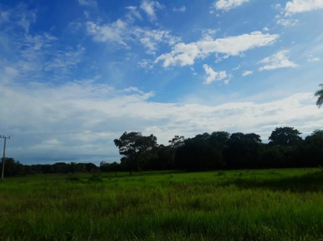 FAZENDA A VENDA EM CORUMBÁ - MS (Pecuária) - Foto 4