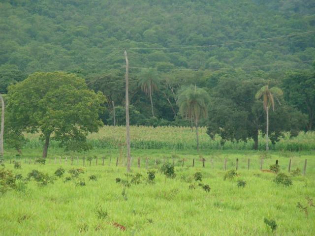 Formosa Goiás á 39 km na região do Maltizaria - Foto 9