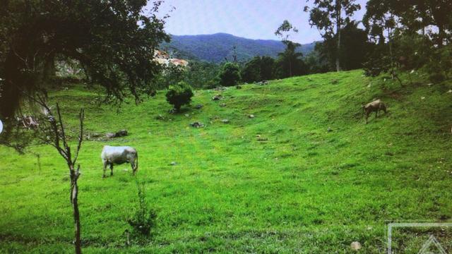 Aceita troca em Bombinhas/SC, sítio com 105.000 m² à venda em Botuverá /SC - Foto 14