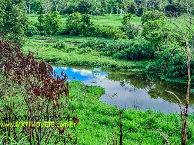 Itaju do Colônia. Linda Fazenda pecuária de 375 Hectares - Foto 11