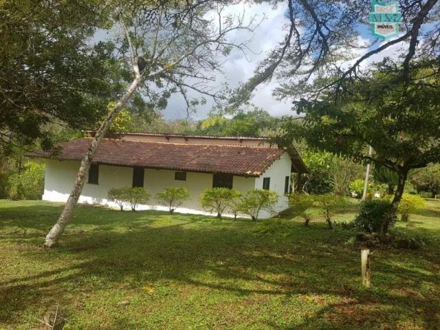 Igrapiúna. Fazenda com 845 Hectares e cachoeira, cacau, pupunha e seringa. - Foto 3