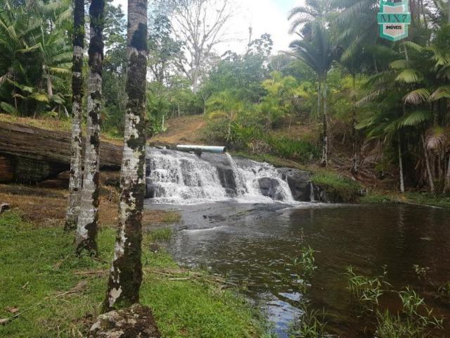 Igrapiúna. Fazenda com 845 Hectares e cachoeira, cacau, pupunha e seringa.