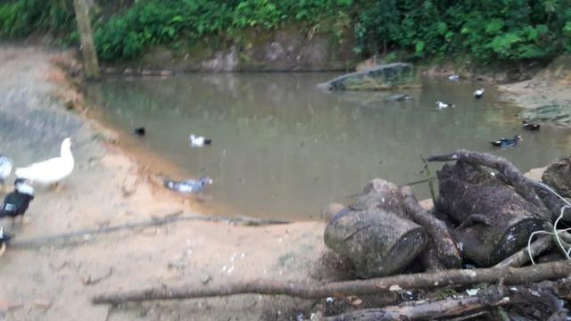 Chácara área rural porteira fechada - Foto 16