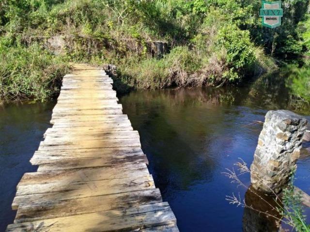 Maraú. Fazenda de 710 Hectares com diversas atividades de produção e rica em água - Foto 17
