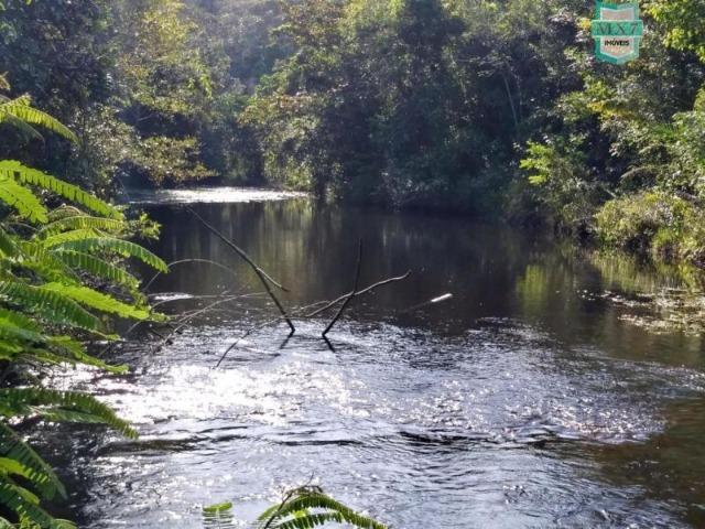 Maraú. Fazenda de 710 Hectares com diversas atividades de produção e rica em água - Foto 18