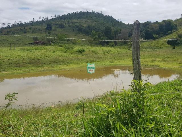 Ipiaú. Fazenda pecuária com 418 Hectares, completa infraestrutura - Foto 6
