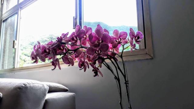 APARTAMENTO à venda, USINA RIO DE JANEIRO RJ - Foto 3