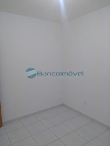 Apartamento para alugar com 2 dormitórios em Jardim ypê, Paulínia cod:AP02415 - Foto 13