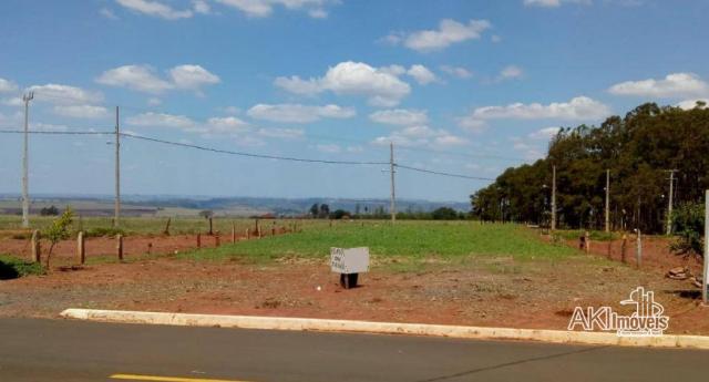 Terreno Residencial Loteamento Villa Verde - Iguaraçu - Foto 3