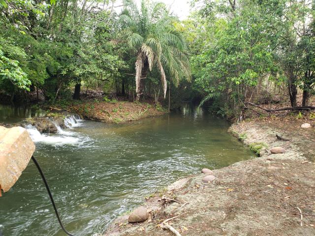 Vende-se chácara 110 km de Várzea Grande Watssap * - Foto 5