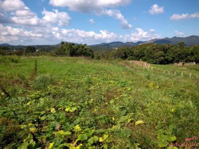 Chácara à venda em Col.malhada, Sao jose dos pinhais cod:CH00005 - Foto 6