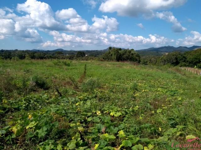 Chácara à venda em Col.malhada, Sao jose dos pinhais cod:CH00005 - Foto 4