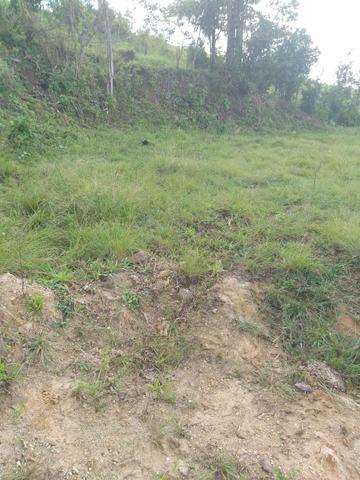 Terreno em Ferradas