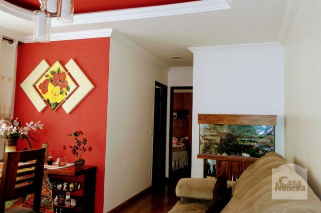 Apartamento à venda com 2 dormitórios em Carlos prates, Belo horizonte cod:256781