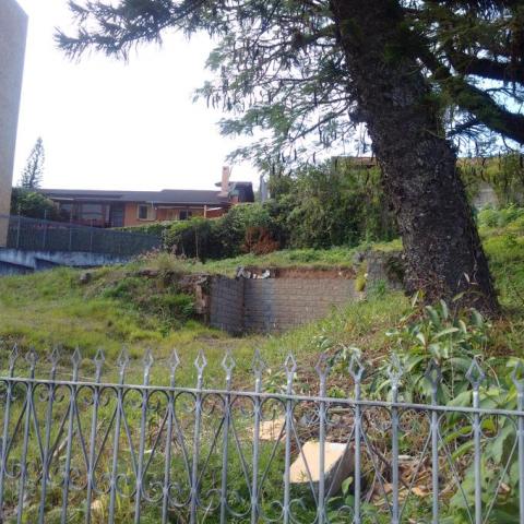 Terreno à venda em Itaguaçu, Florianópolis cod:62169 - Foto 3