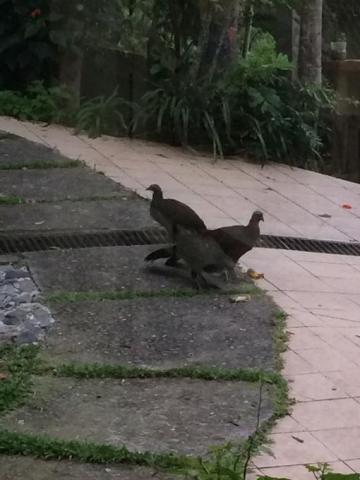 Chácara à venda em Condomínio iolanda, Taboão da serra cod:60343 - Foto 8