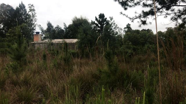 Terreno no Parque Eldorado - Foto 5