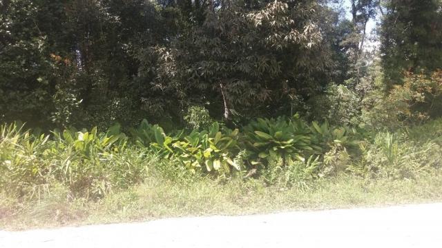 Ótimo terreno de 38,40 x 24 total 921,60 m2 em itapoá na área retro portuária, com infra e - Foto 5