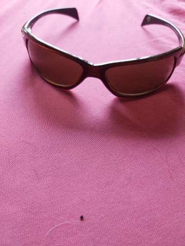 Um Mormaii e um Rayban - Foto 3
