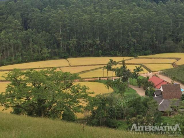 Excelente chácara em ascurra sc. a 03 km do centro - oportunidade. - Foto 16