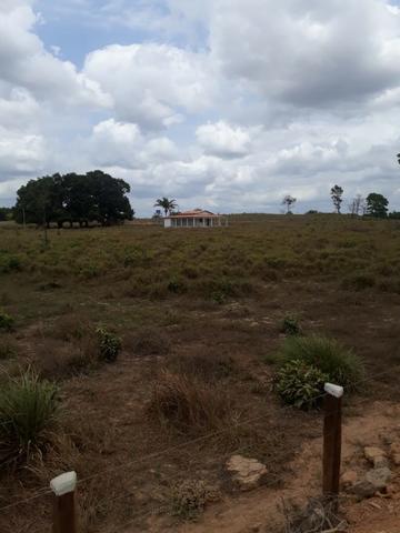 Vendo fazenda com 315 Hectares de terra!! - Foto 13
