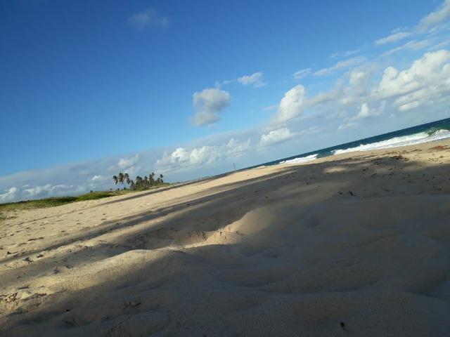 Sitio (Casa) em Barra de Jacuipe - Foto 16