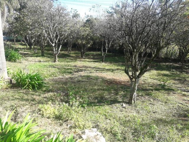Black Novembro Garanta seu Lote Ba 110 - Foto 7