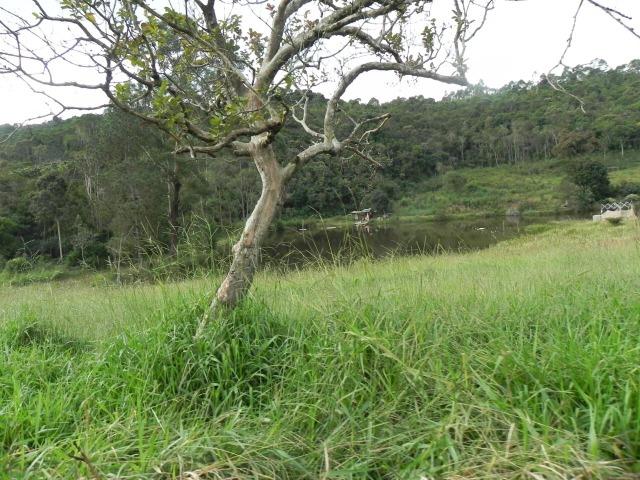 L.o1 terrenos a venda em mairiporã 1.000m² - Foto 2