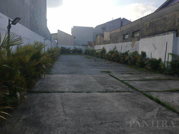 Terreno para alugar em Parque das nações, Santo andré cod:56498 - Foto 2