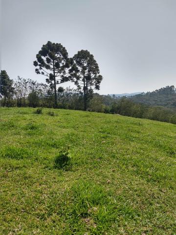 Comece 2020 com seu terreno 1000M2 em igarata RR10 - Foto 4