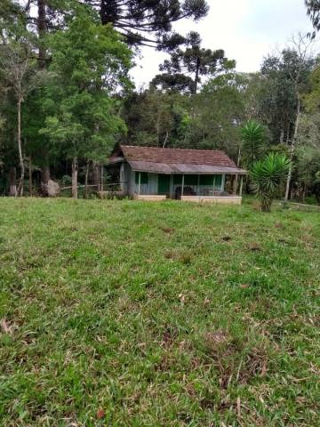 Chácara à venda em Rio do cacho, Contenda cod:CH00012 - Foto 14