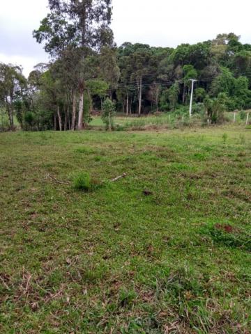 Chácara à venda em Rio do cacho, Contenda cod:CH00012 - Foto 8