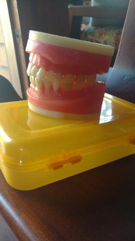 Manequim dentistica prodens - Foto 3