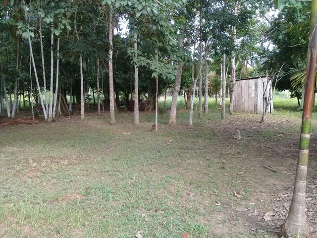 Chácara - Foto 19