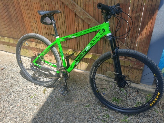 Bike Diamond Back Rattlesnake 29