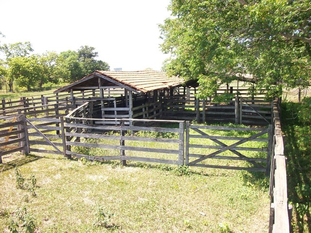 Fazenda em Almas. 28 mil por alqueire. - Foto 5