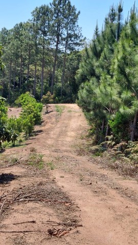 Terreno com 20.000m2 em Pedra Azul | Domingos Martins - Foto 14