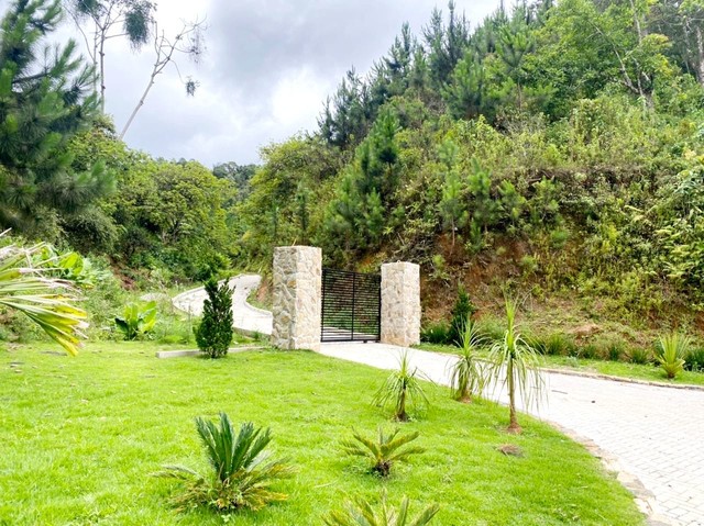 Terreno com 20.000m2 em Pedra Azul | Domingos Martins - Foto 6