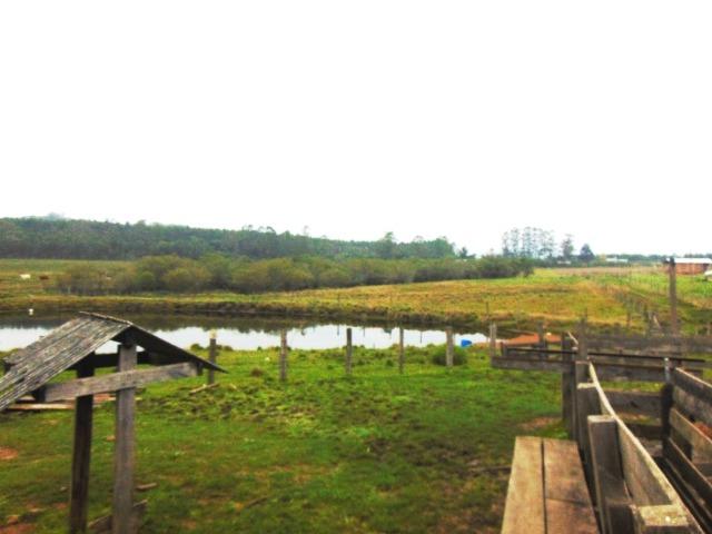 Área de 6 ha - Costa da Serra - Montenegro - 37 - Foto 11