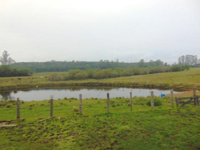 Área de 6 ha - Costa da Serra - Montenegro - 37 - Foto 8