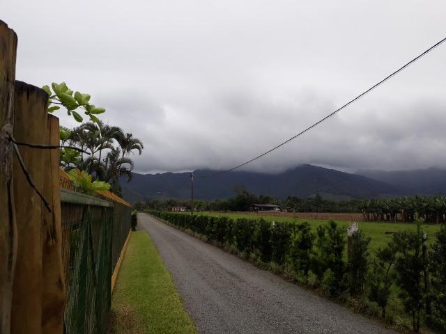 Fazenda Plana toda Aproveitável, Valor muito Atrativo do que Pedem Na Região - Foto 10