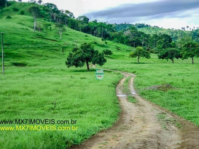 Itaju do Colônia. Linda Fazenda pecuária de 375 Hectares - Foto 6