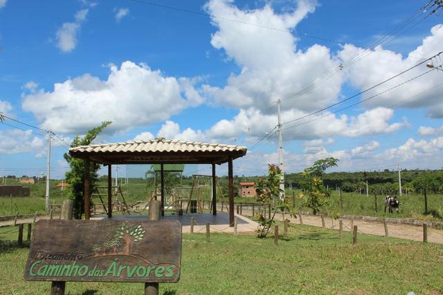 Lotes Em Cachoeira - Foto 5