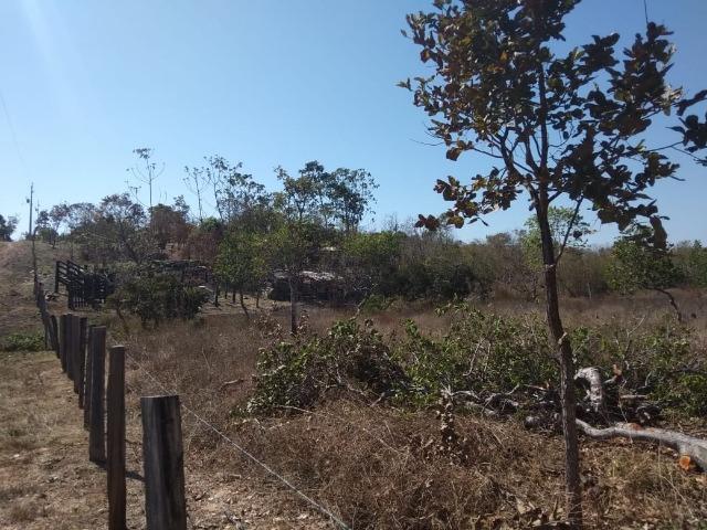 Chácara km 22 estrada da guia - Foto 10
